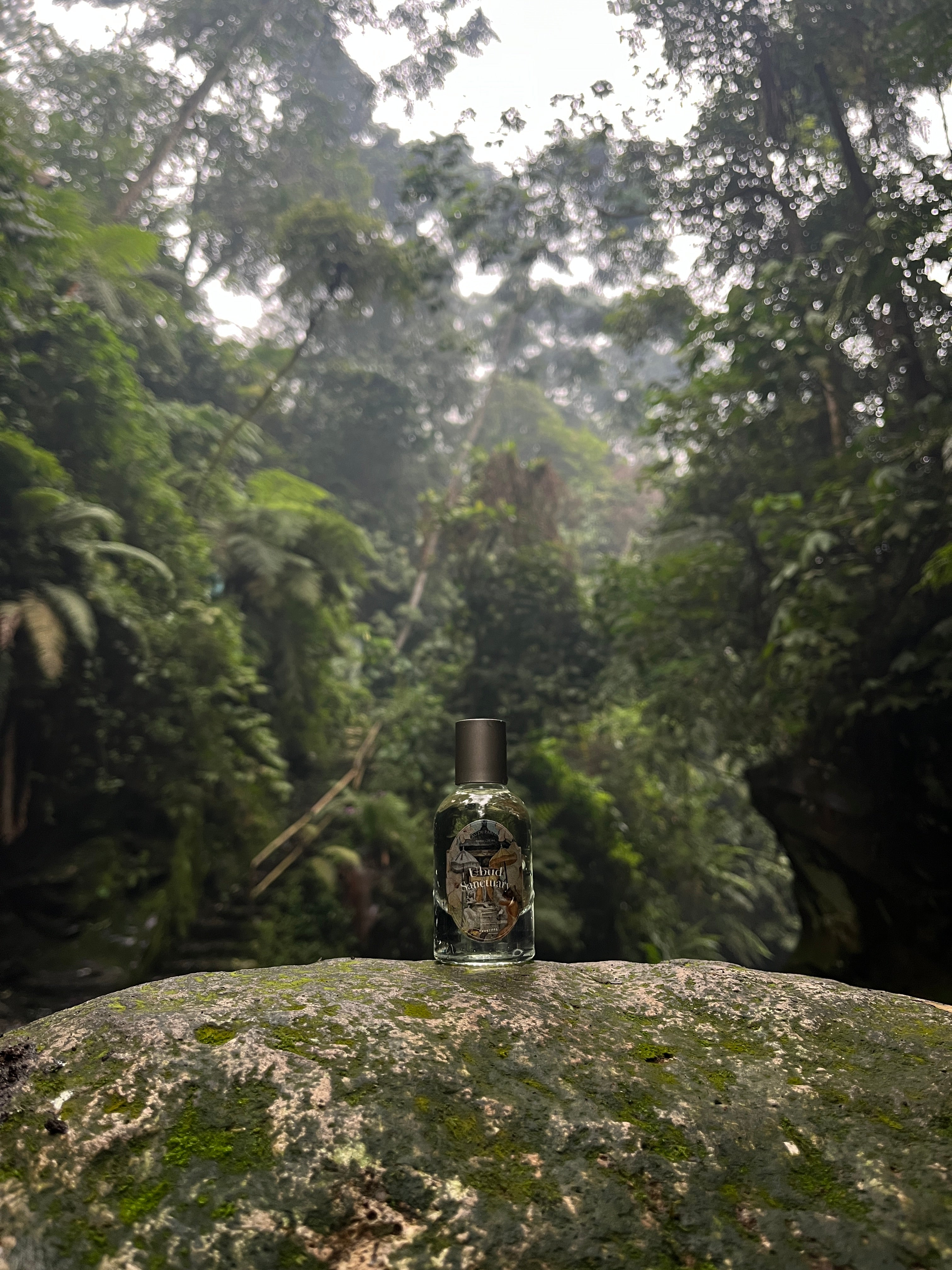 Ubud Sanctuary / Nevernot Chapter II: Ubud and 3some series (EDP)
