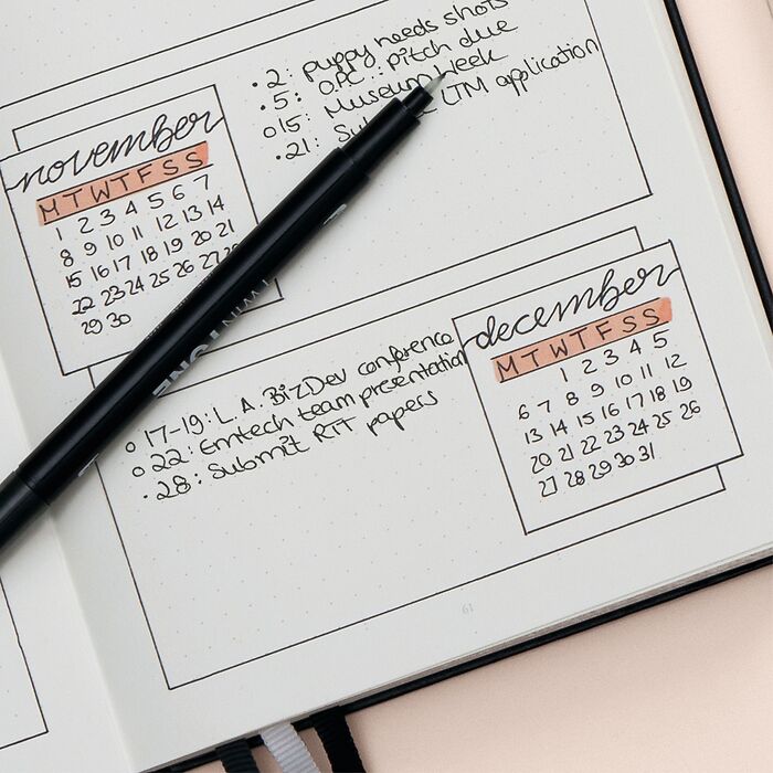 Bullet Journal Edition 2, Medium (A5), Hardcover, 206 numbered pages DOTTED