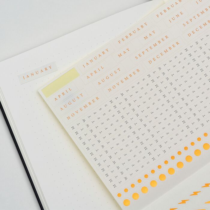 Bullet Journal Edition 2, Medium (A5), Hardcover, 206 numbered pages DOTTED