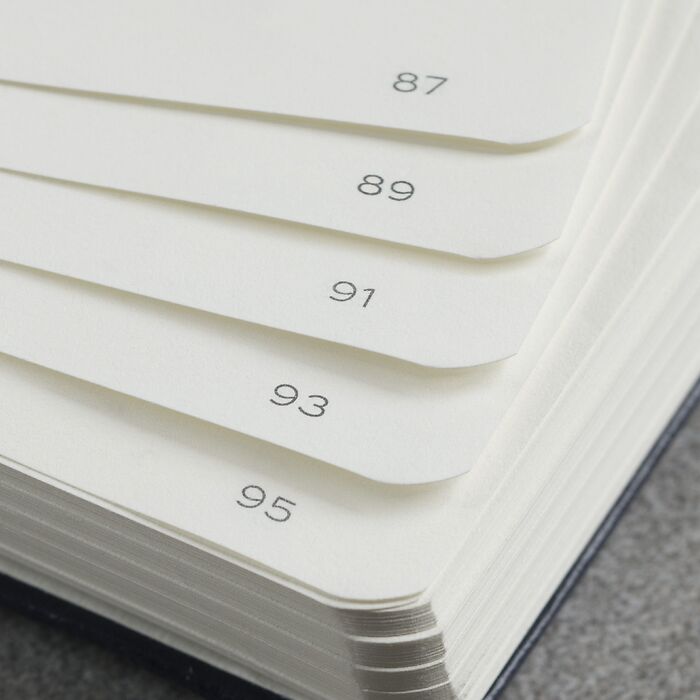 Notebook Medium (A5), Hardcover, 251 numbered pages SQUARED