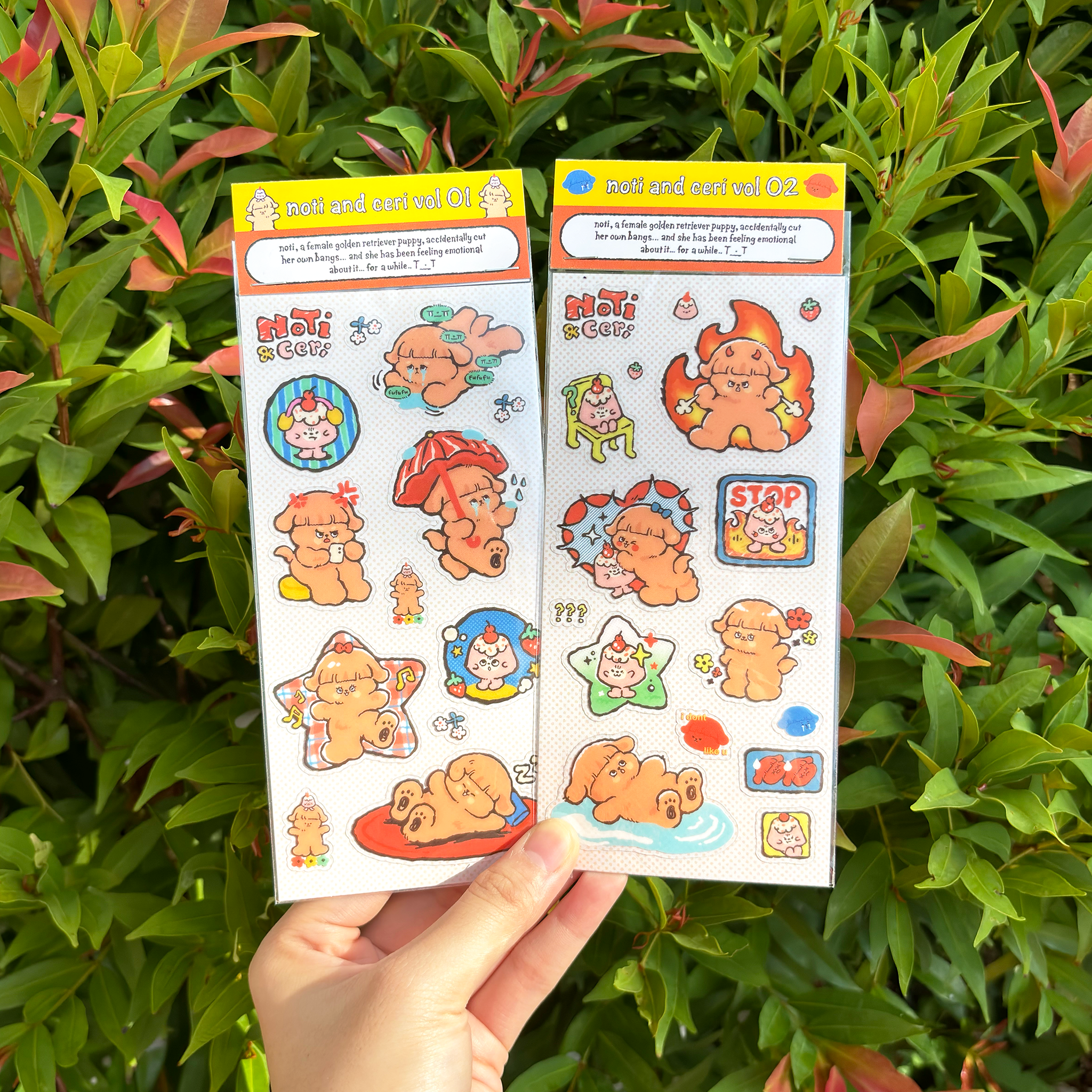 Transparent Sticker Sheet