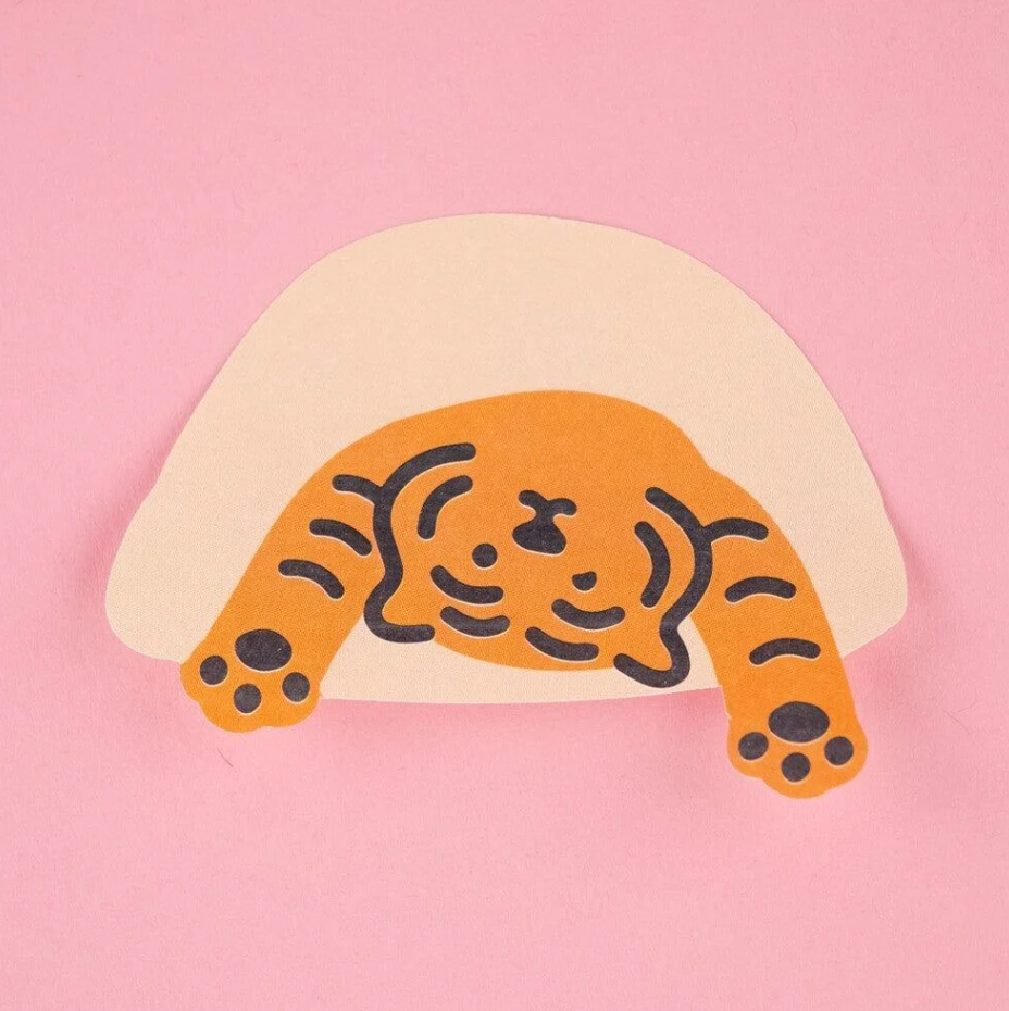 Cozy Tiger Sticky Memo Pad