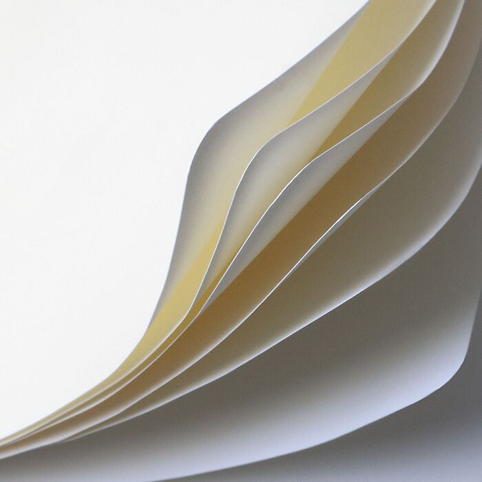 Bullet Journal Edition 2, Medium (A5), Hardcover, 206 numbered pages DOTTED