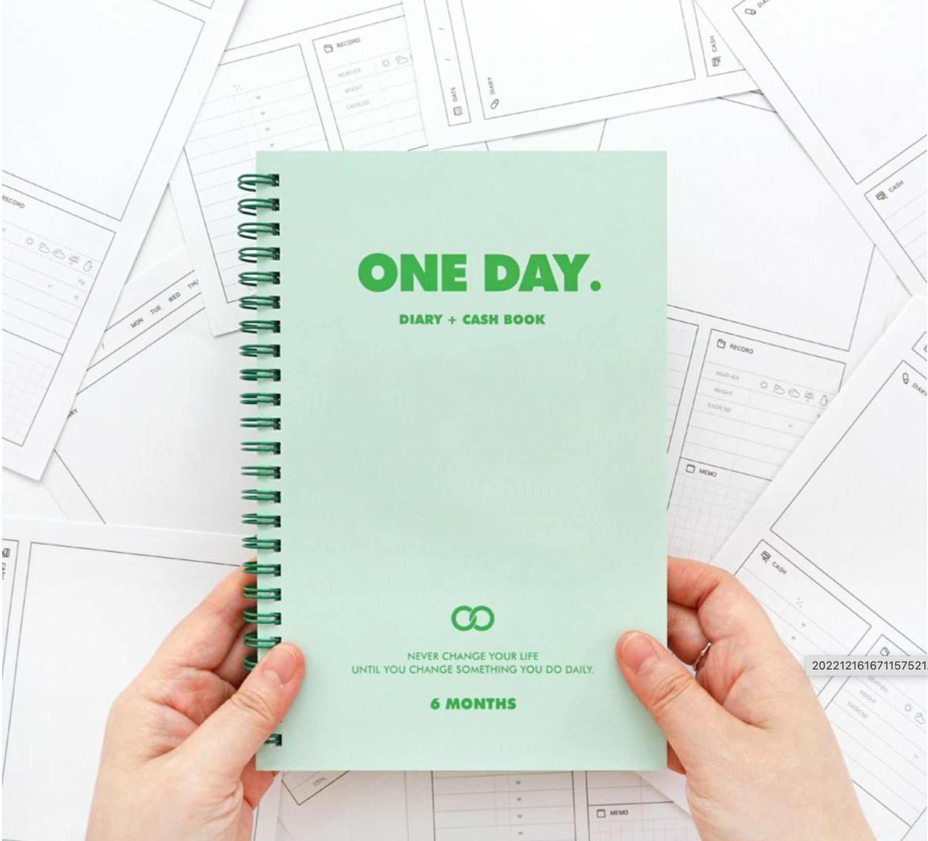 One Day Diary + Cash Book for 6 Months