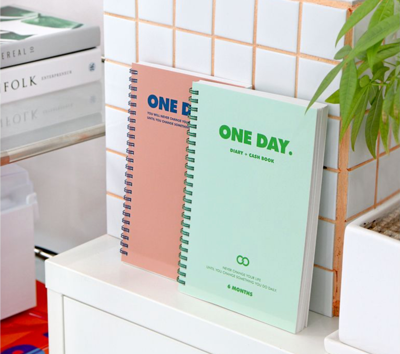 One Day Diary + Cash Book for 6 Months