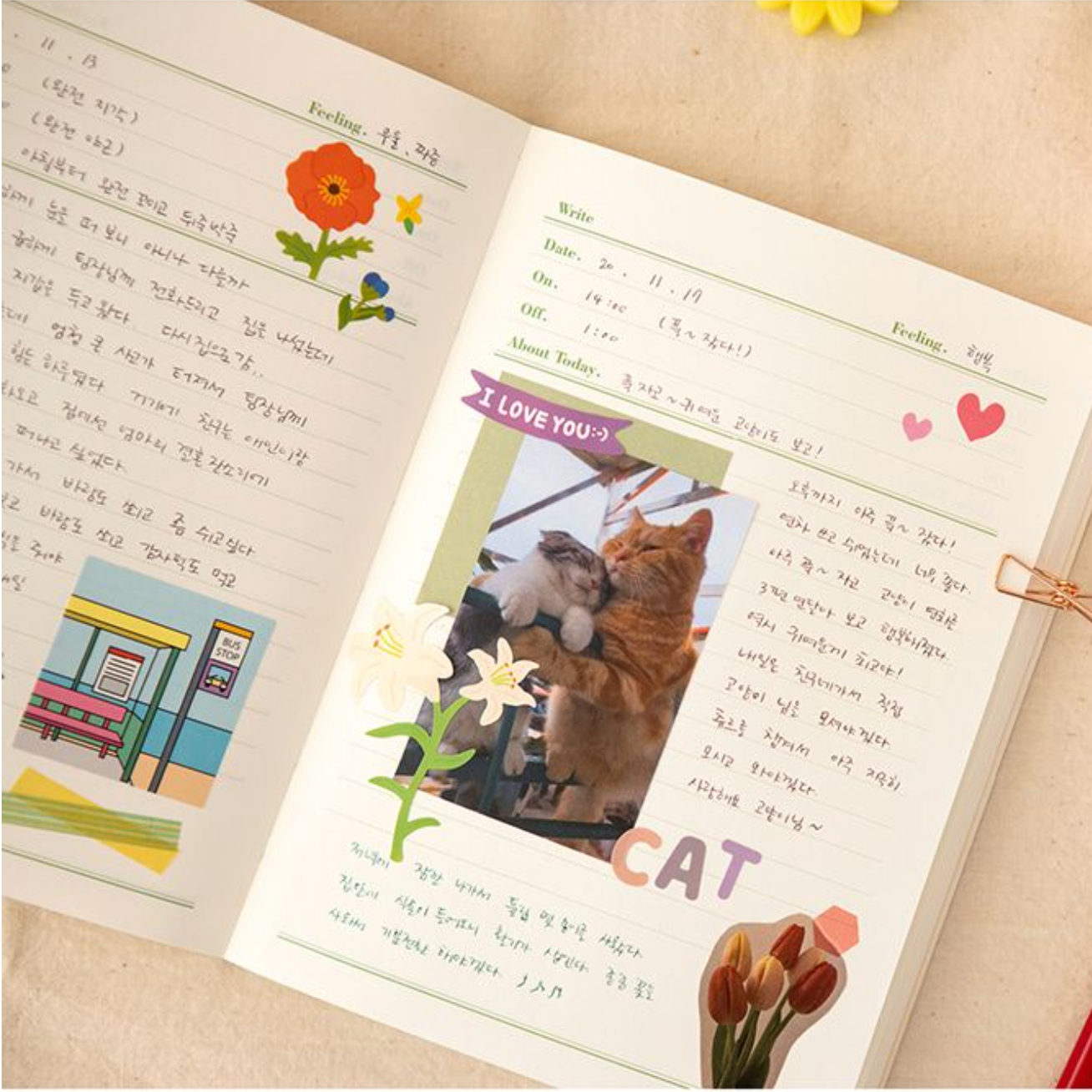 About Today Diary
