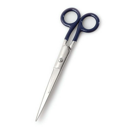 Stainless Steel Scissor